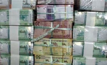 عملات سودانية