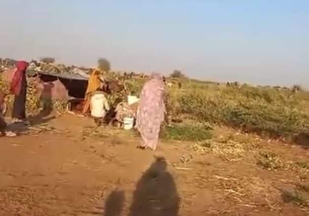 نازحين في شمال دارفور يبحثون عن الطعام بين الاشجار بعد ان نفذت جميع الاطعمة التي بحوزتهم